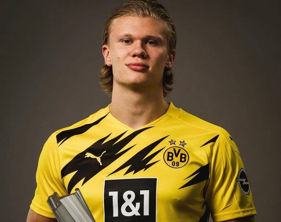 现出高质量 现出高质量