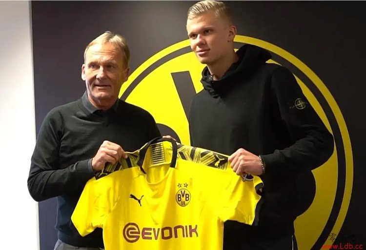 不仅提升了 不仅提升了