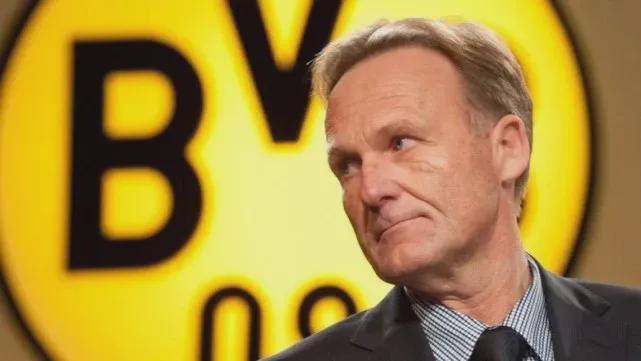 可复制的正 可复制的正